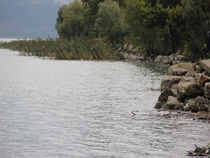 Sapanca Gölü'nde korkutan yükselme