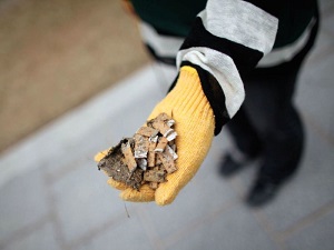 Paris'te sokağa izmarit atana para cezası