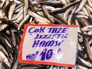 Balık azaldı, fiyatları tavan yaptı