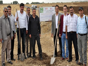 Telli turna ve toy kuşları için çalışma