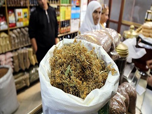 Ihlamur altınla yarışıyor