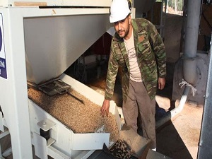 Fosil yakıta alternatif biokütle yakıt