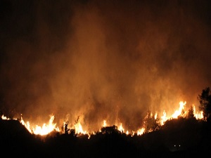 O ülkenin ormanları bir aydır yanıyor