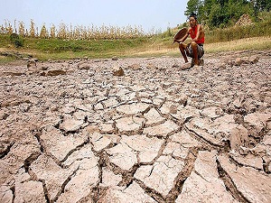 Türkiye'nin yüzde 47'si çölleşme riski altında