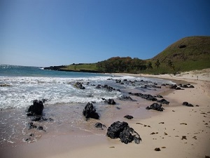 Pasifik'e iki yeni koruma alanı