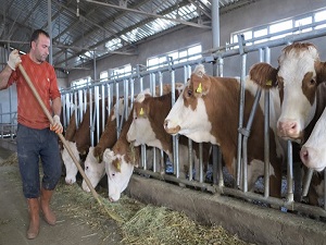 Dubaili firma Denizli'de hayvancılık yapacak