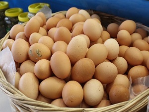 Yumurtaya yüzde 15 zam geldi