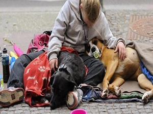 Almanya'da evsiz sayısı hızla artıyor