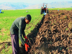 Suriyeli öğretmenin öğrenci hasreti