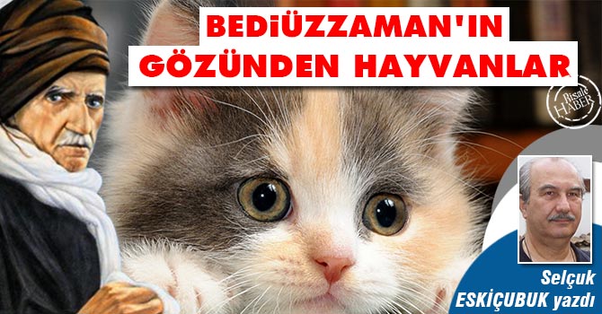 Bediüzzaman'ın gözünden hayvanlar alemi