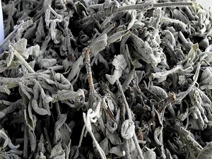 'Ihlamur yerine adaçayı tüketin' önerisi