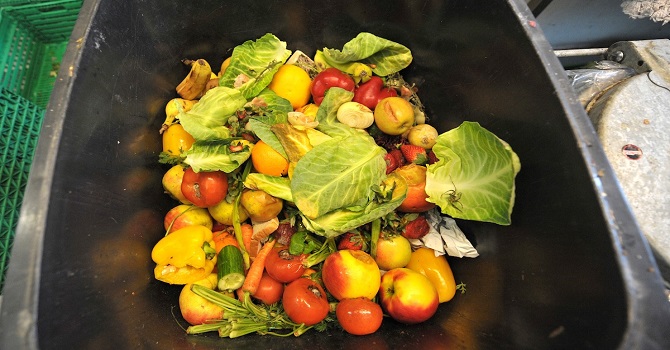 FAO gıda israfına karşı harekete geçti