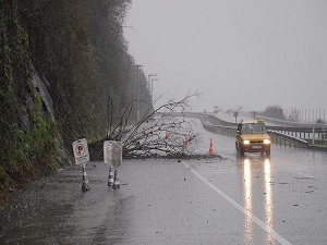 Orta ve Doğu Karadeniz'de çok kuvvetli yağış uyarısı
