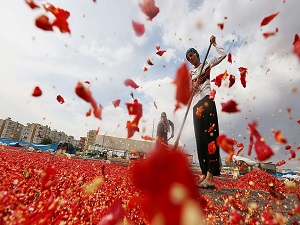 Sofraların en acı 'reçeli'