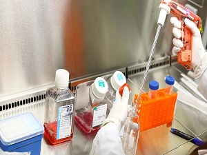 Türk Genom Projesi çığır açacak