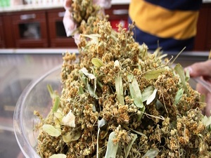 Ihlamur artık gramla alınıyor