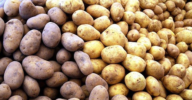 Geçen yılın zam şampiyonu patates bu yıl kilosu 1 liradan satılıyor