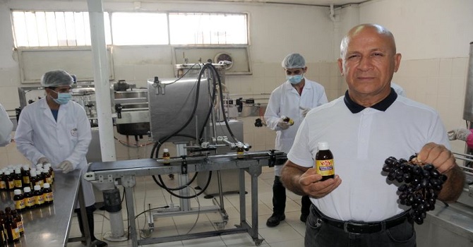 Kanser tedavisine 'çekirdekli kırmızı üzüm ekstresi' ile destek olunuyor