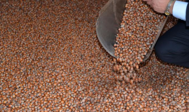 Türkiye'nin fındık ihracatı