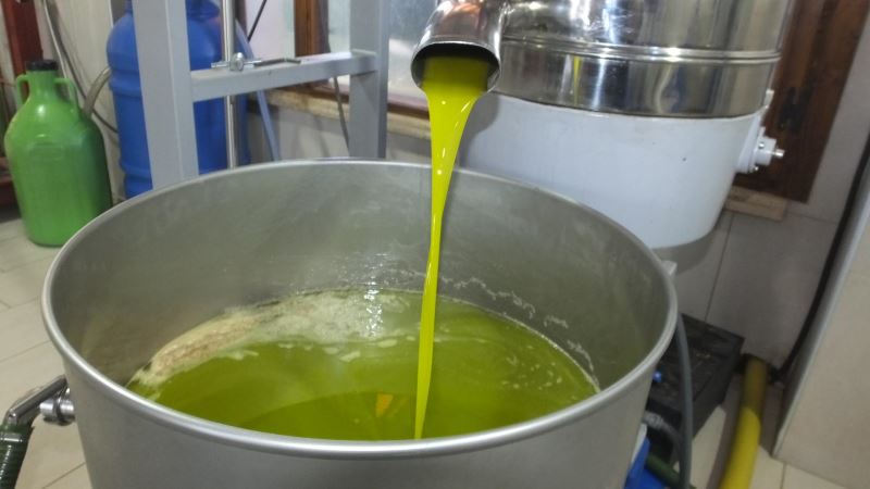 Zeytinyağının kalitesi çiftçiyi sevindirdi