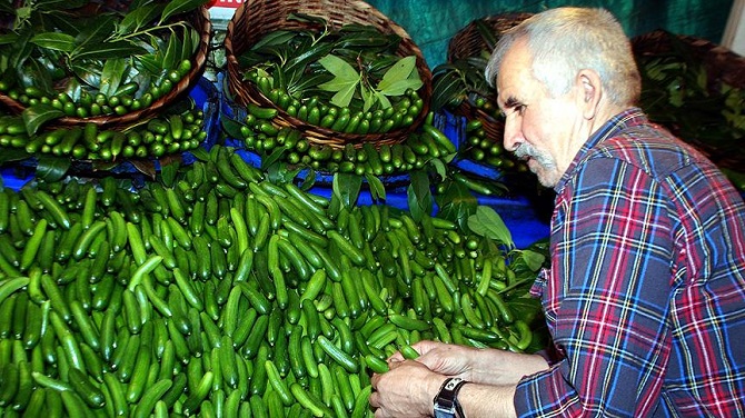 'Çengelköyü bademi' tarih oldu