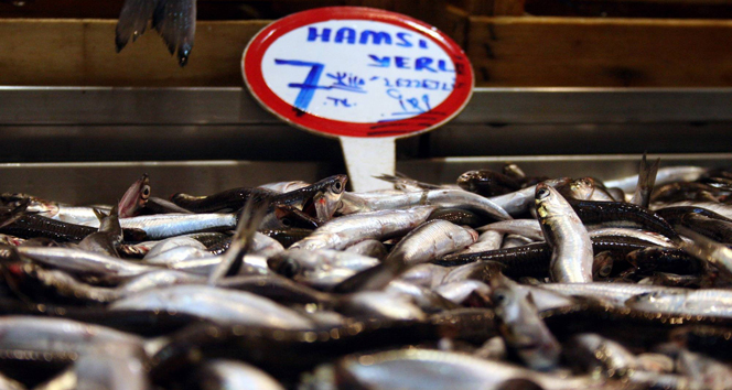 Balık tezgahları ucuz hamsi ile şenlendi