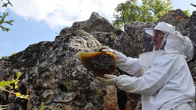 Balını 'taş'tan çıkarıyor