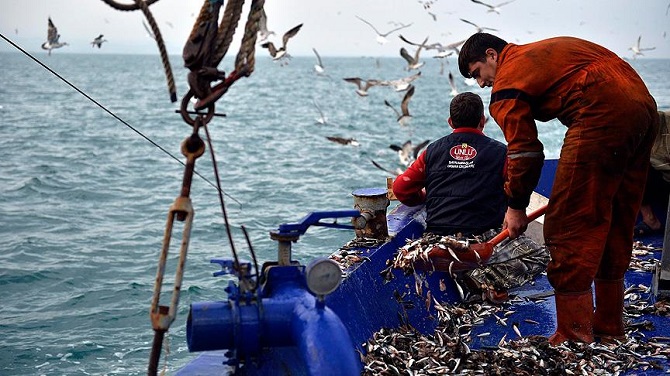 Karadenizli balıkçılar 'hamsi yolu' gözlüyor