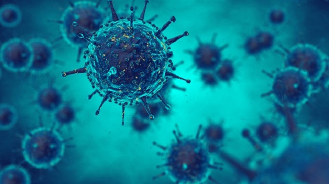 Bakteriler bitkilerin 'muhafız'ı