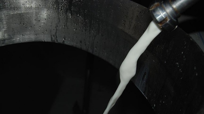 Suni tohumlama süt verimini artırdı