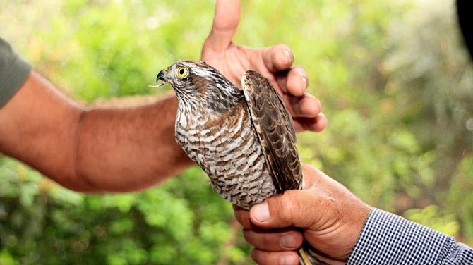 25 ilde 5 bin yeni biyolojik çeşit keşfedildi