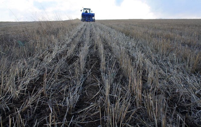 Yozgat'ta toprak işlemesiz yem bitkisi ekimi yapıldı