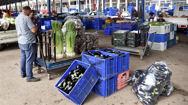 Sebzede örtüaltı sezonu başlıyor