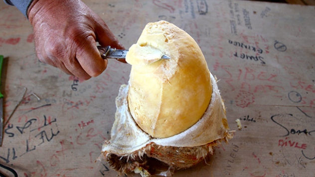 Bu peynir aylarca yeraltı mağarasında bekliyor