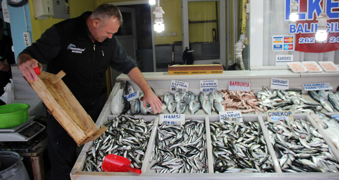 Satışlar arttı balıkçının yüzü güldü