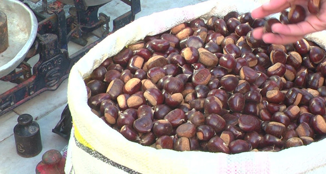 Kışın vazgeçilmezi kestane pazara indi