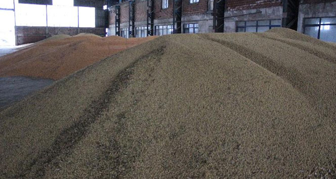 2 milyon tonluk soya ithalatına bakanlık el attı