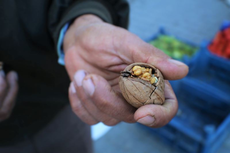 Kaman cevizini don vurdu, çiftçi ürün alamadı