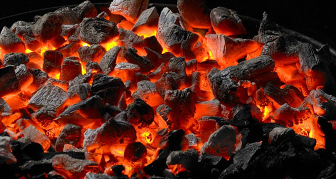 TÜİK katı yakıt istatistiklerini açıkladı