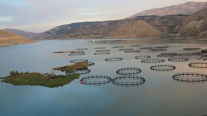Yüzen Adalar ziyaretçilerini bekliyor