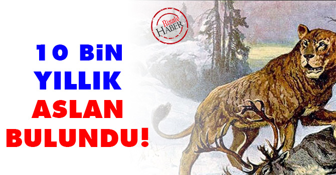 10 bin yıllık aslan bulundu!