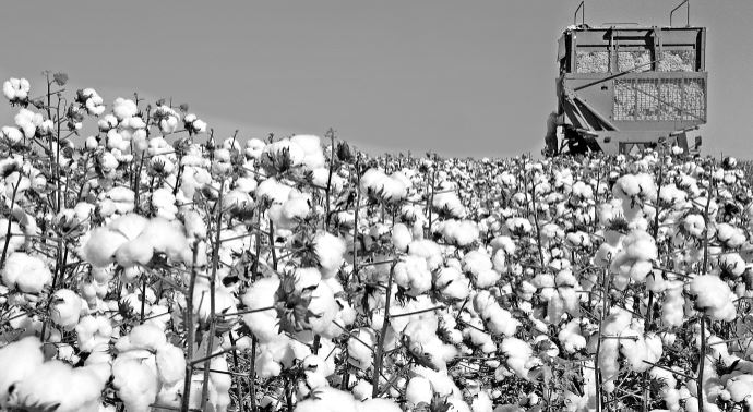 Organik tarım vadisi olacak!