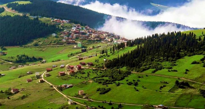 Yaylalara helikopterli ulaşım