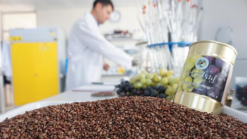 Üzüm çekirdeği üzerine araştırma