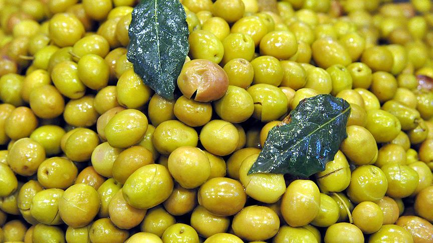 Zeytin ihracatında 'organize' hedef