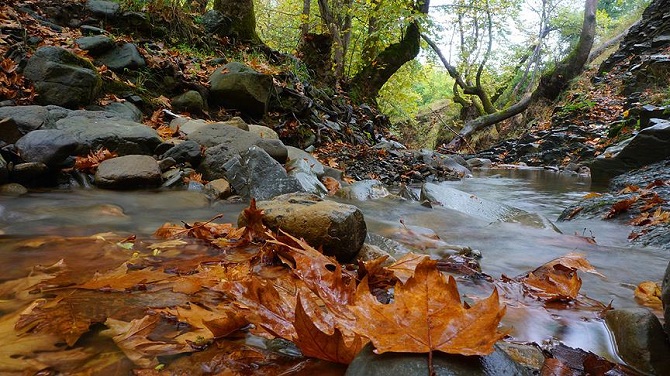 Ganoslar, sonbahar tutkunlarını bekliyor