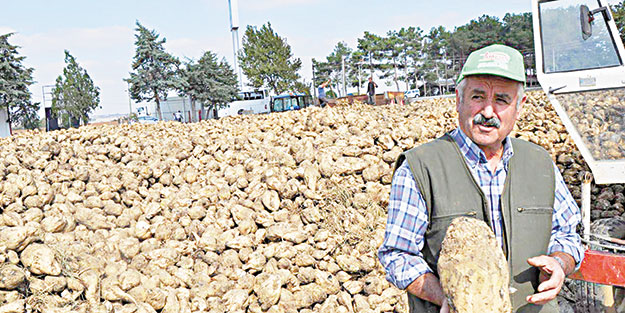 Pancar üreticisi fiyattan memnun