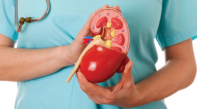 Binlerce kişi organ nakli bekleme listesinde