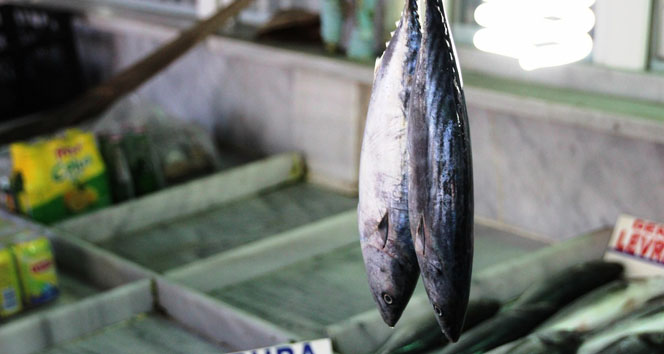 Sağlığınız için balık tüketin