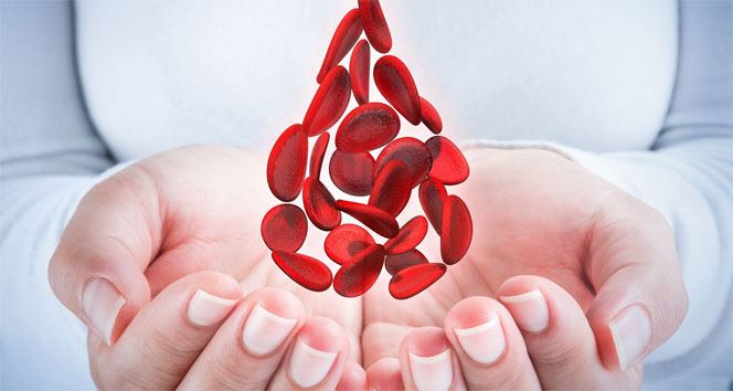 'Kan bağışı sadece bağış yapılan kişi için değil herkes için yararlı